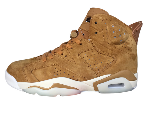 Air Jordan 6 Retro "Golden Harvest